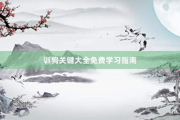 训狗关键大全免费学习指南