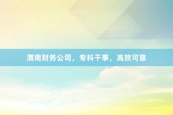 渭南财务公司,专科干事,高效可靠